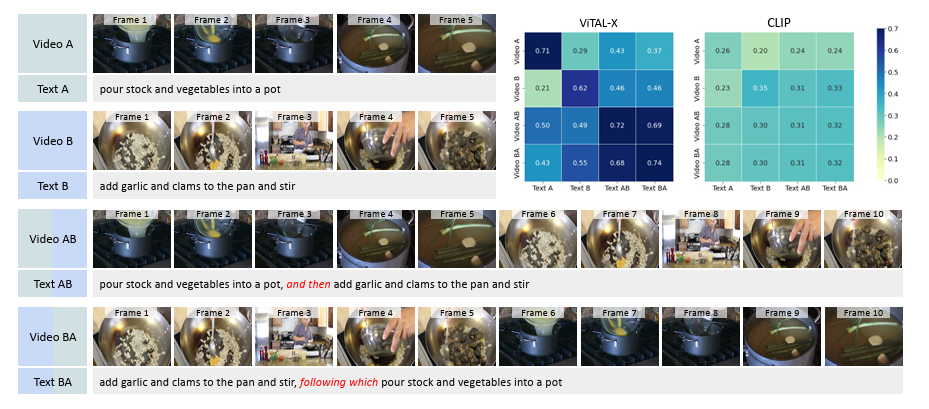 ViTAL-X paper thumbnail